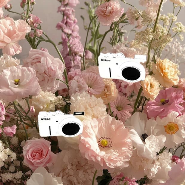 하이엔드&강추!) Nikon Coolpix P310 디카 카메라