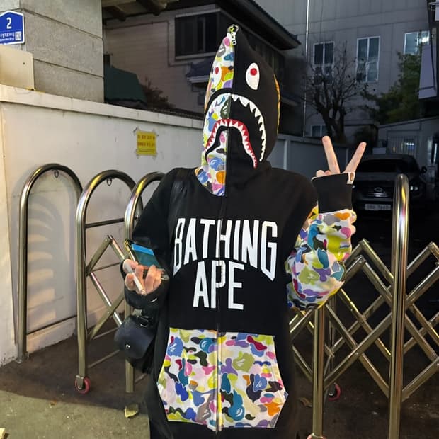 베이프 샤크집업