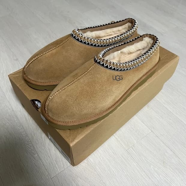 어그 타스만 270