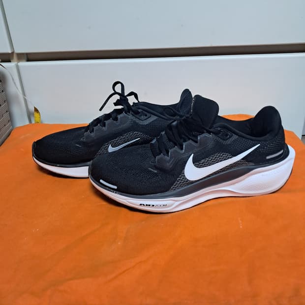 나이키 에어 줌 페가수스 41 런닝화 운동화 250