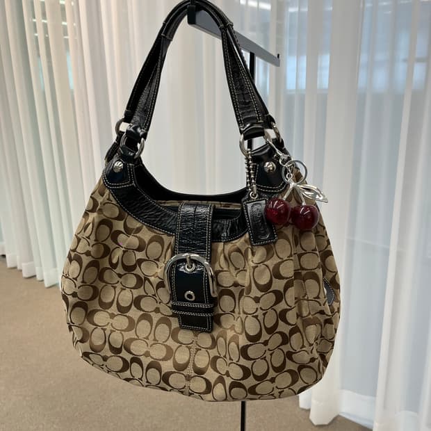 Coach Big Basic Hobo Bag