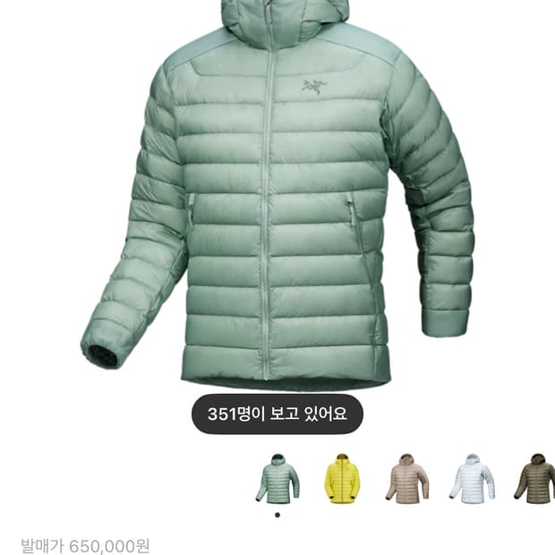 아크테릭스 세륨 후디 스톤 그린 패딩 L 구합니다