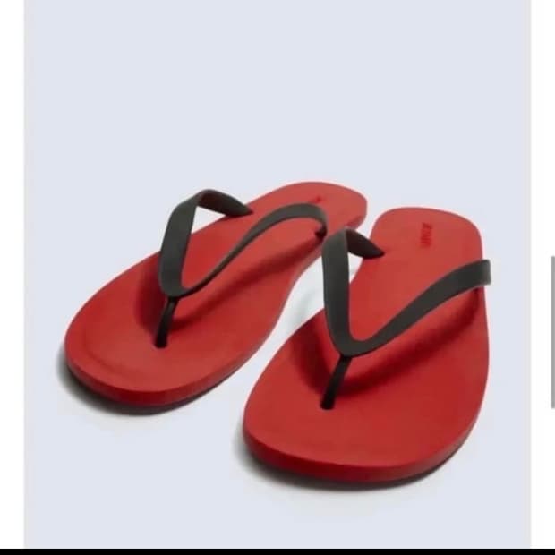 자라 아론레빈 쪼리레드
