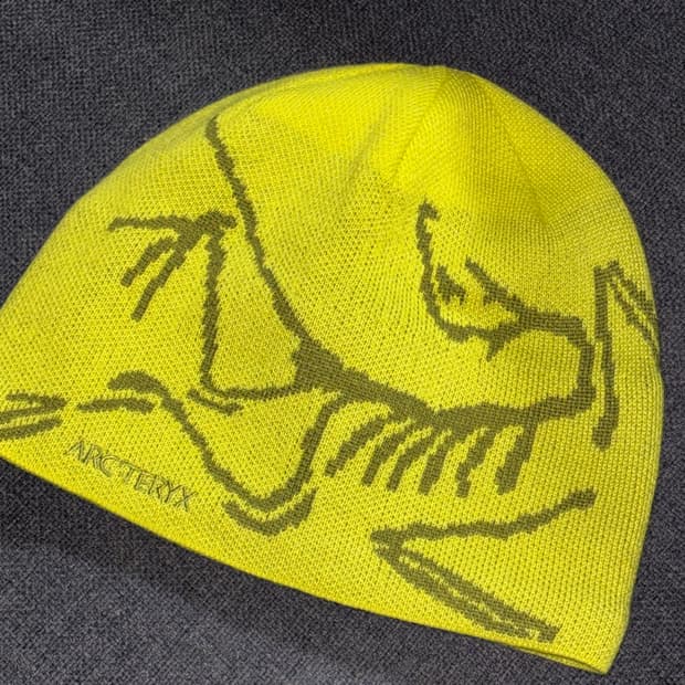 아크테릭스 비니 버드 헤드 토크 유포리아 올리브 모스