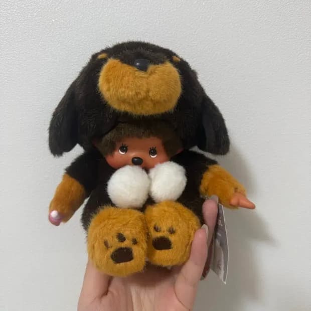 몬치치 강아지 닥스훈트