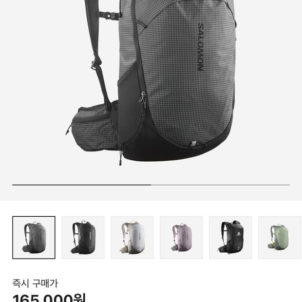 살로몬 백팩 20L