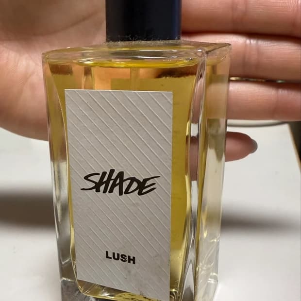 러쉬 쉐이드 향수 100ml
