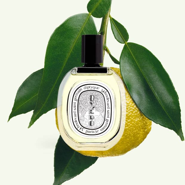 딥디크 오에도(국문택)[50ml]