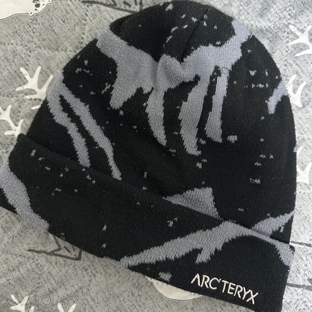 아크테릭스 그로토 토크 비니