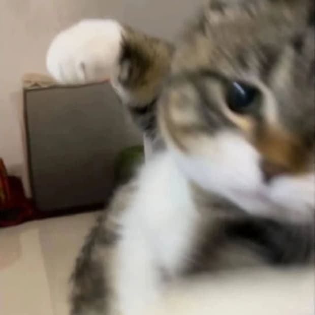~ 상점공지 ~