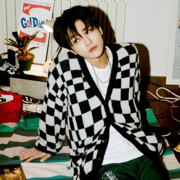 (NCT 재민착용) 스탠드얼론 체커보드 가디건