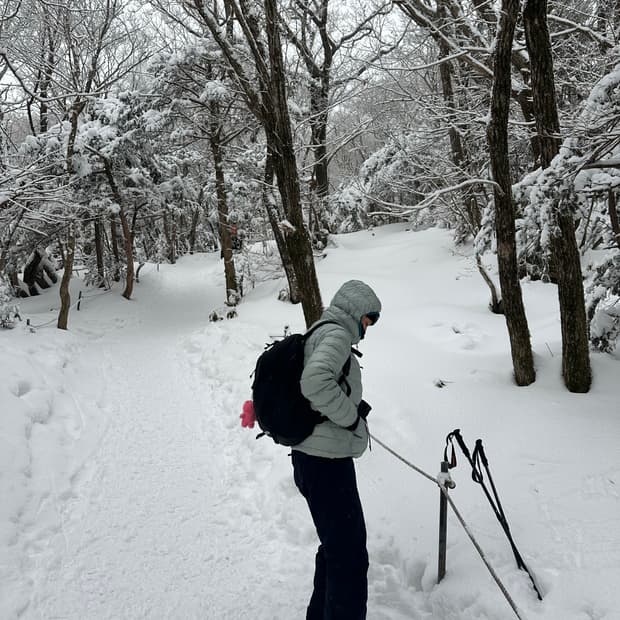 여성용 시에라디자인 뮤어 경량 구스다운 L