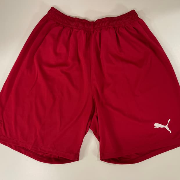 푸마 00s 팀라이즈 스포츠 숏츠 쇼츠 팬츠 레드 Puma OLD