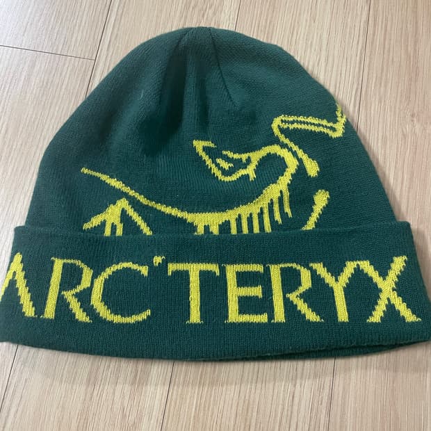 아크테릭스 비니