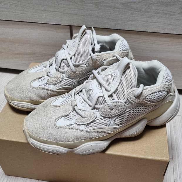 이지 500 블러쉬