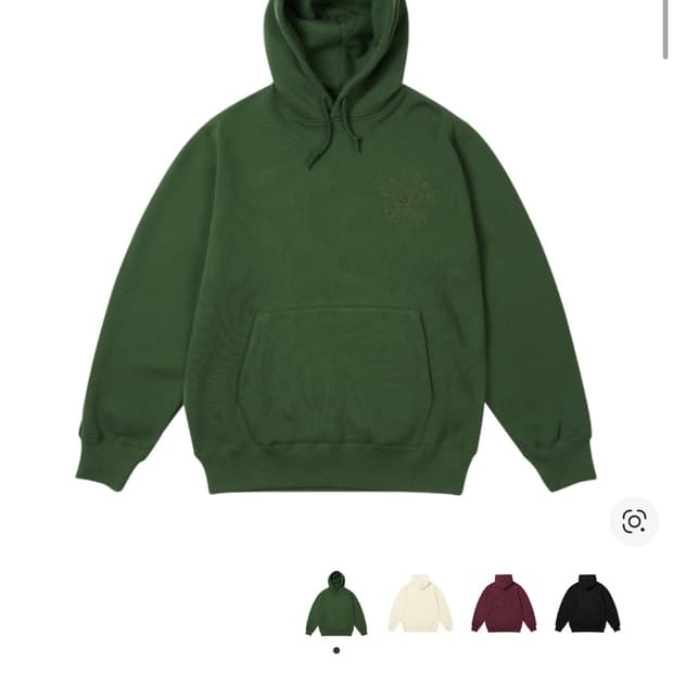 팔라스 x 빔즈 플러스 그래픽 후드 그린 - 24FW