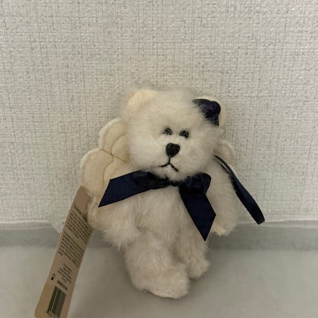 보이즈베어 쪼꼬미