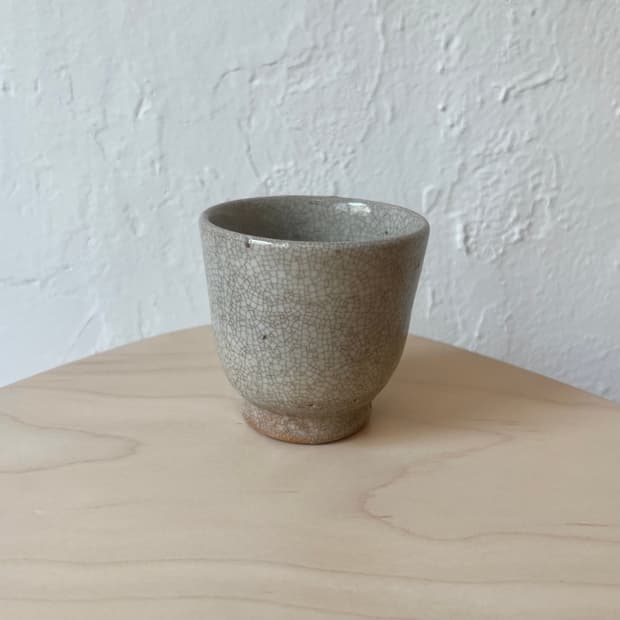 Vtg jpn cup