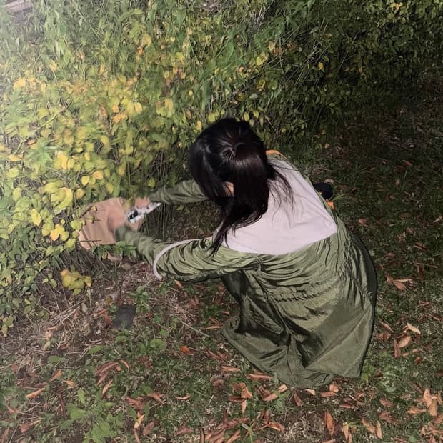 Hysteric Glamour 히스테릭 글래머 M-51 타입 모즈 코트