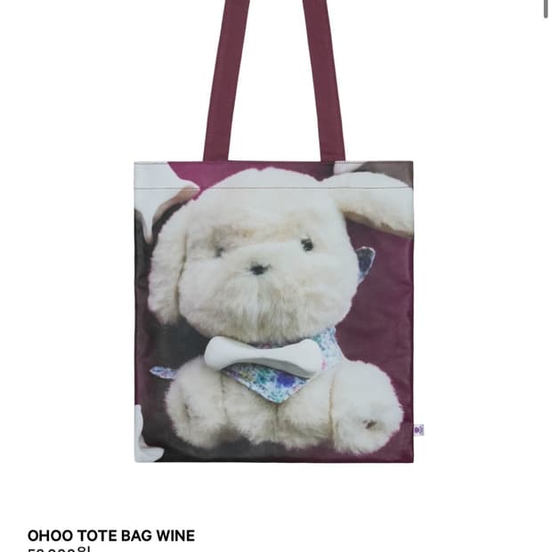 코이세이오 오후 