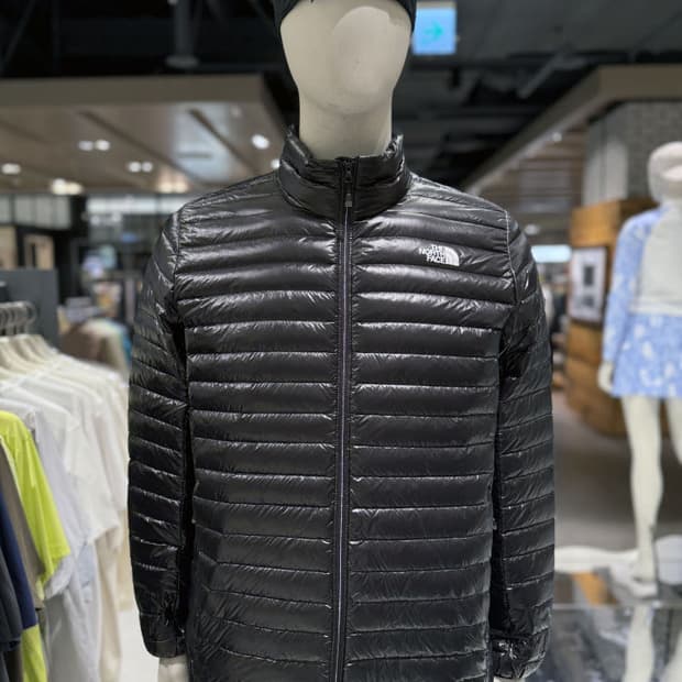 노스페이스 아레날 경량패딩 [M]