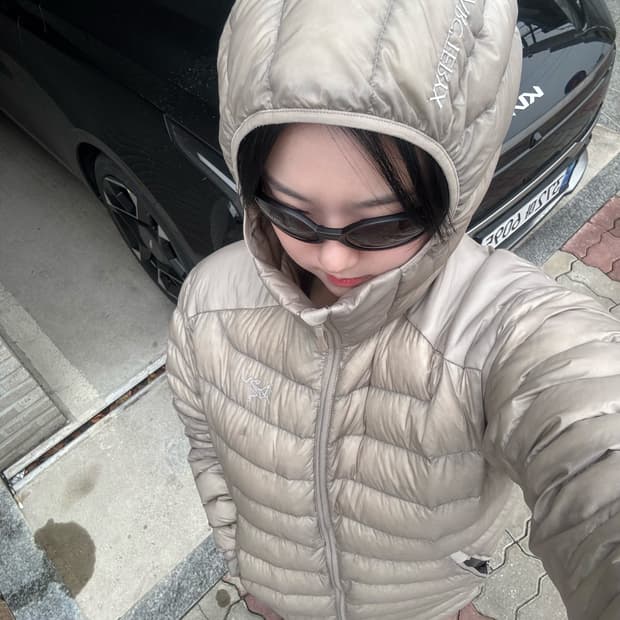 아크테릭스 세륨 룬 색상 L-XL