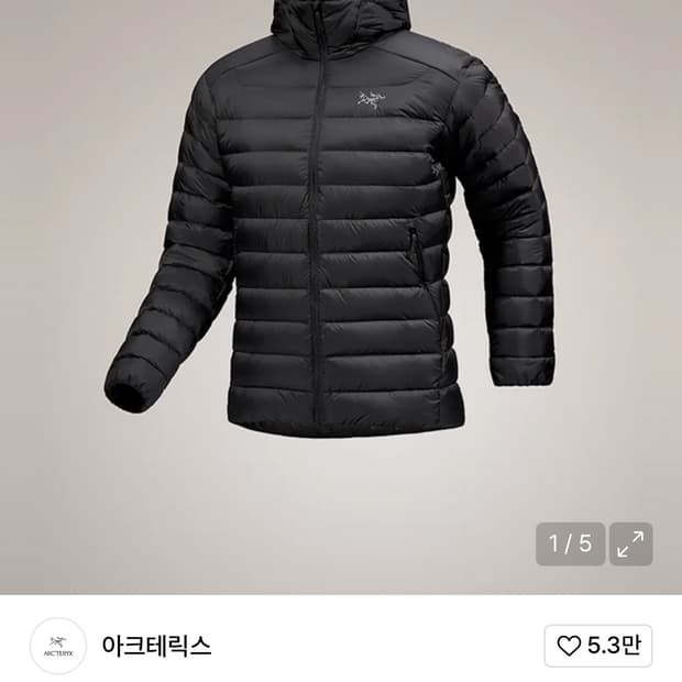 아크테릭스 세륨 후디 xl