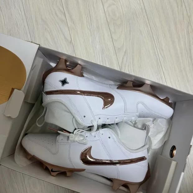 나이키 베이퍼 16fg 270