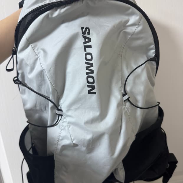 살로몬 피크 백팩