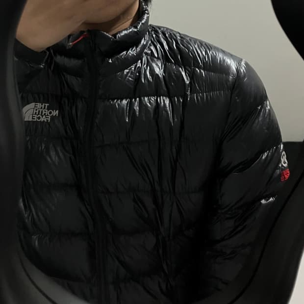 노스페이스의 퍼텍스 퀀텀 850 경량패딩