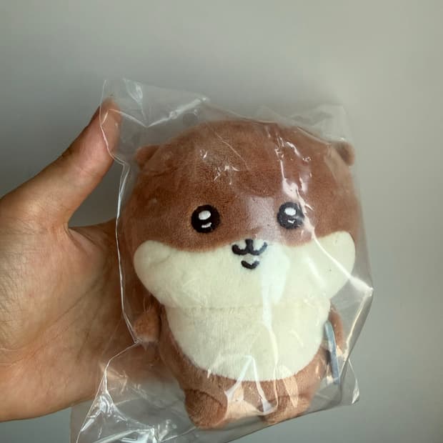 치이카와 수달 (나가노 수달 마스코트 쿠지 D상)