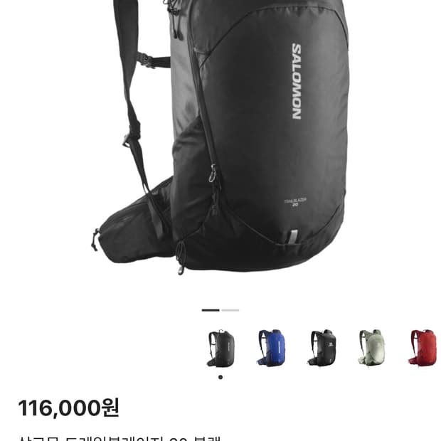 살로몬 트레일블레이저 20 블랙