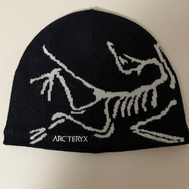 아크테릭스 비니 