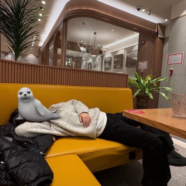 똑딱이 카라 니트