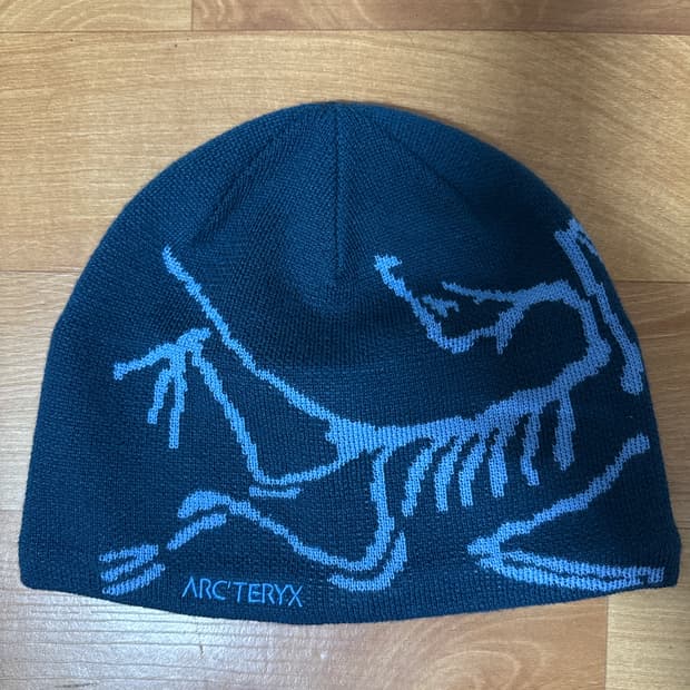 아크테릭스 버드 헤드 토크 비니