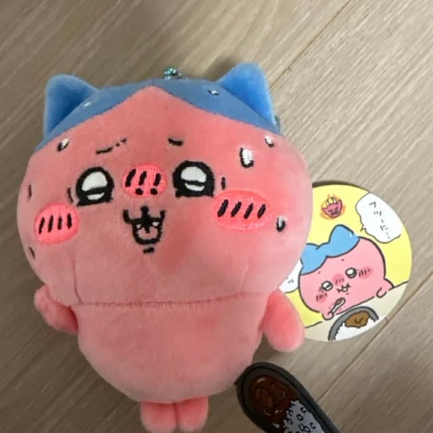 매운카레먹은 하치와레 누이
