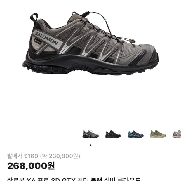 살로몬 XA Pro 3D GTX 280