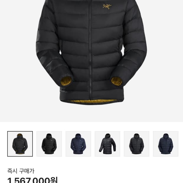 아크테릭스 토륨 24k L사이즈  상태 9.5 /10  구매하실분만 연락