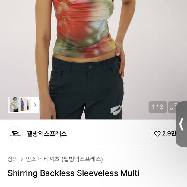 웰빙익스프레스 나시