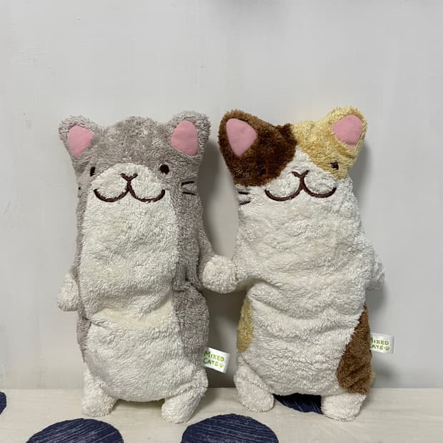 산엑스 찰찰이 고양이 인형