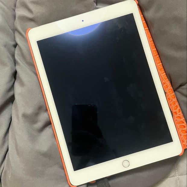 아이패드 에어2 64GB 골드