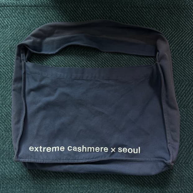 extreme cashmere bag