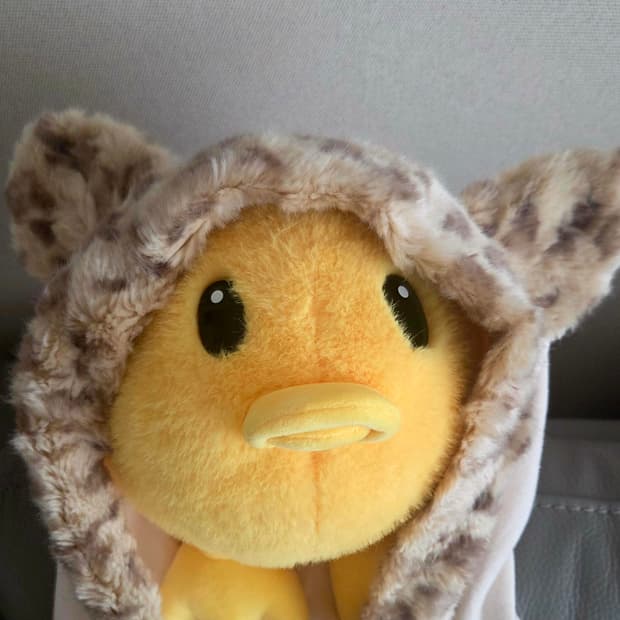 Y2k 빈티지 Mezzo piano 동물귀 후드집업 M사이즈