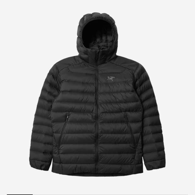 아크테릭스 세륨 후디 블랙