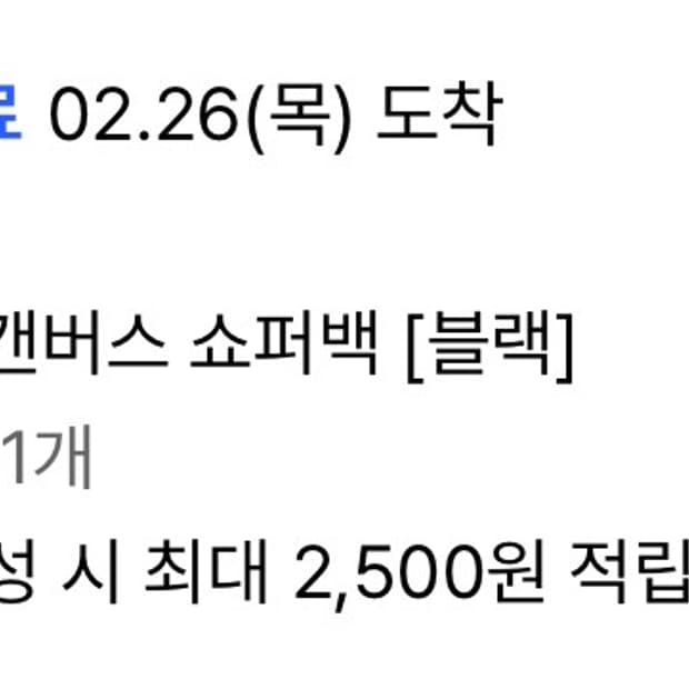 파세르 빈티지 캔버스 쇼퍼백 