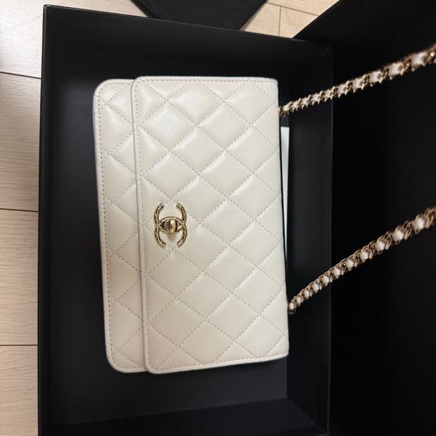 CHANEL 샤넬 클래식 월렛 온 체인 (Wallet On Chain /