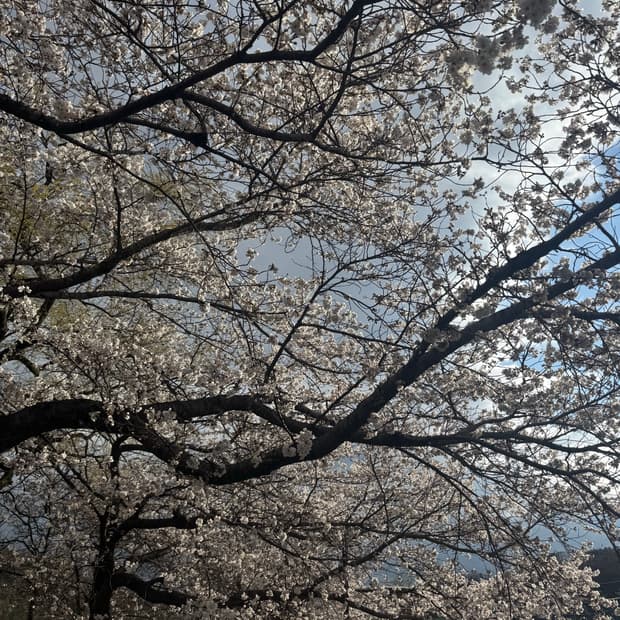 아프레쎄 분할결제