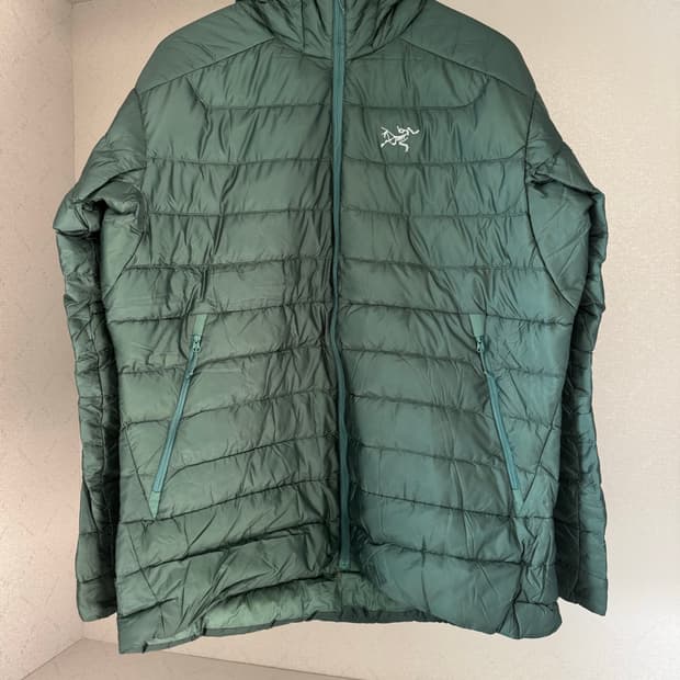 XL 아크테릭스 세륨 LT 다크 엘리시움 다운 후디 자켓 / 에덴