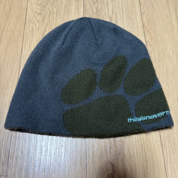 디스이즈네버댓 비니