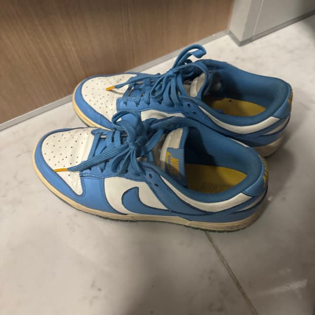 나이키 덩크로우 유니버시티블루 250